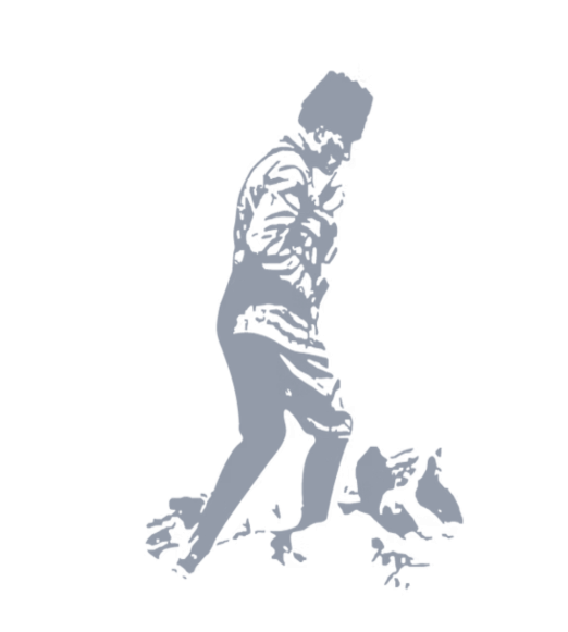 görsel